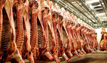 نرخ هر کیلو شقه گوسفندی به ۹۸ هزار تومان رسید/ دام زنده ۴۰ تا ۴۳ هزار تومان