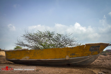 جزیره هرمز