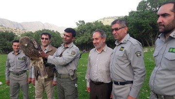 رهاسازی ۱۰۰ کبک کشف شده از متخلفین در سفیدکوه خرم آباد
