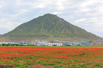 طبیعت بهاری منطقه آزاد ارس