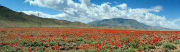 طبیعت بهاری منطقه آزاد ارس