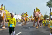 فیلم | ادای احترام فیل‌ها به پادشاه تایلند