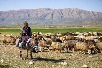 کوچ بهاره عشایر فارس