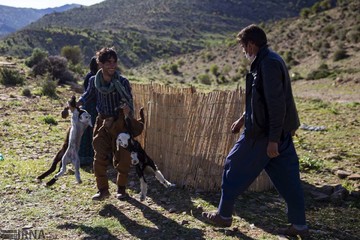 کوچ بهاره عشایر فارس