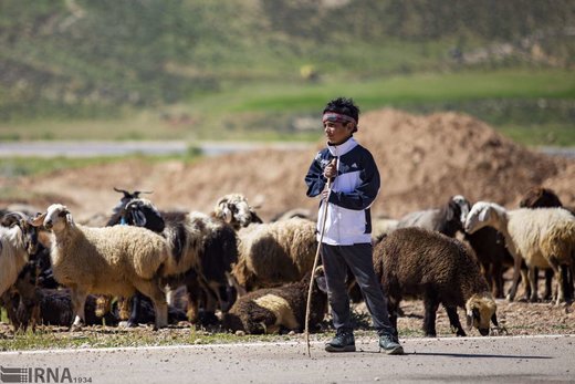 کوچ بهاره عشایر فارس