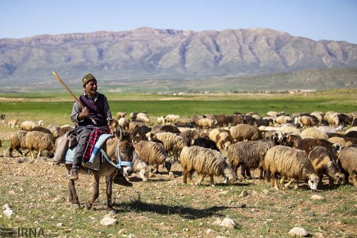 کوچ بهاره عشایر فارس