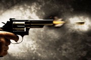 برادرکُشی در شکار گراز