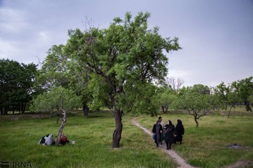 آیین «پنجاه به‌در» قزوین