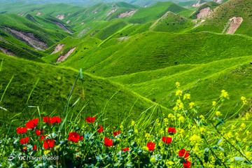 زیارتگاه خالد نبی