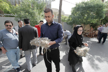تخریب لانه پرندگان در شیراز