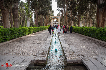 باغ فین کاشان