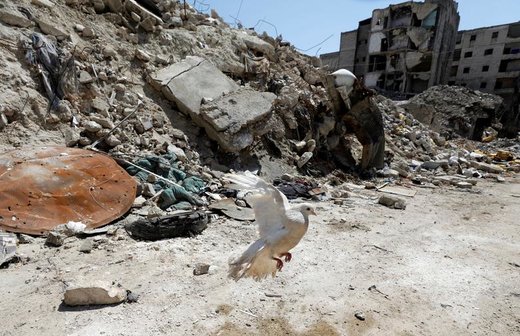 زندگی در ویرانه‌های خط مقدم شهر حلب