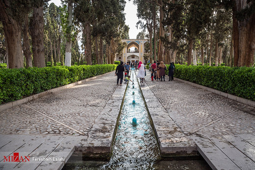 باغ فین کاشان