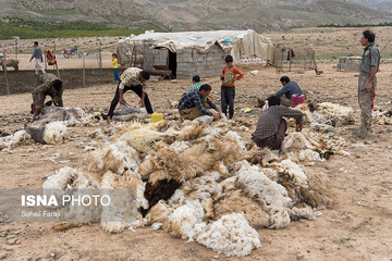 سختی زندگی عشایری به روایت تصویر