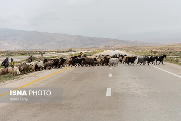 سختی زندگی عشایری به روایت تصویر