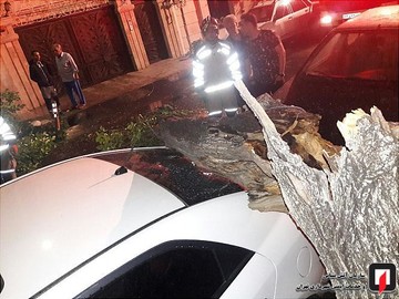 سقوط درخت بر روی کیا سراتو در بزرگراه شهید اشرفی اصفهانی