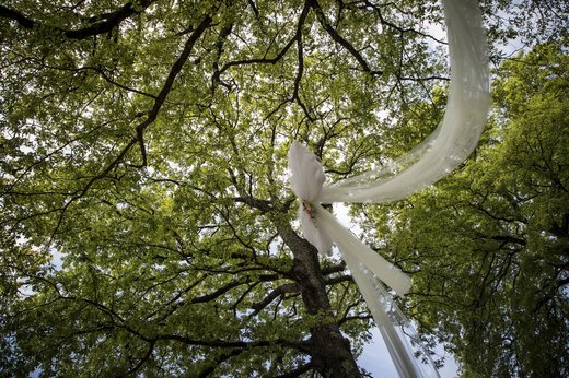 جشن نمادین ازدواج دو درخت سنتی تاریخی روستایی در ایتالیا