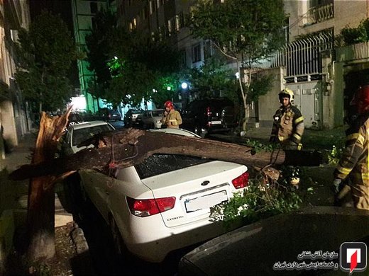 سقوط درخت بر روی کیا سراتو در بزرگراه شهید اشرفی اصفهانی