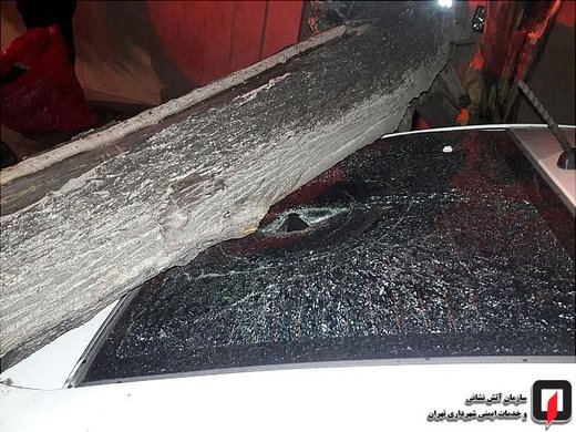 سقوط درخت بر روی کیا سراتو در بزرگراه شهید اشرفی اصفهانی