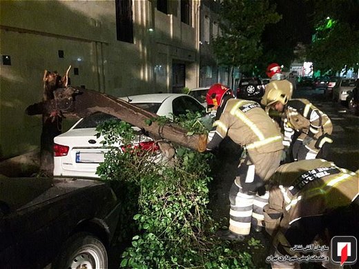 سقوط درخت بر روی کیا سراتو در بزرگراه شهید اشرفی اصفهانی