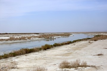 تالاب گاوخونی