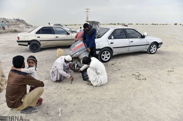 حیات مجدد دریاچه هامون