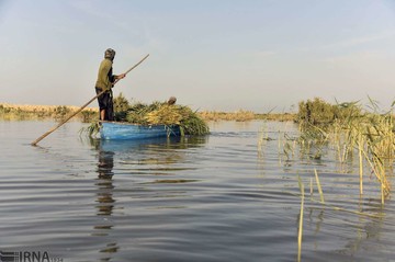 حیات مجدد دریاچه هامون