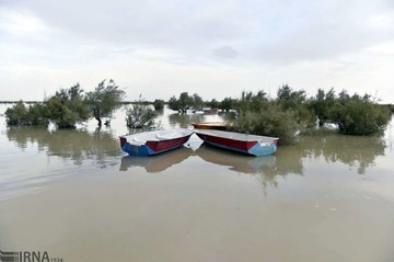 حیات مجدد دریاچه هامون