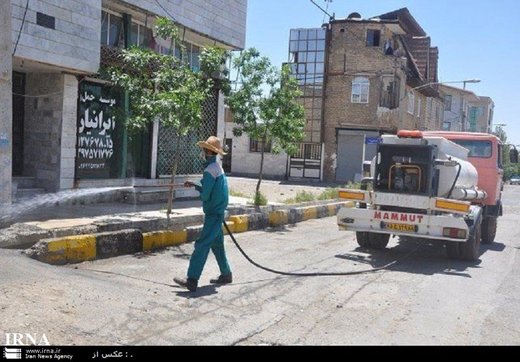 هجوم کرم های پشمالو به شهری در استان البرز