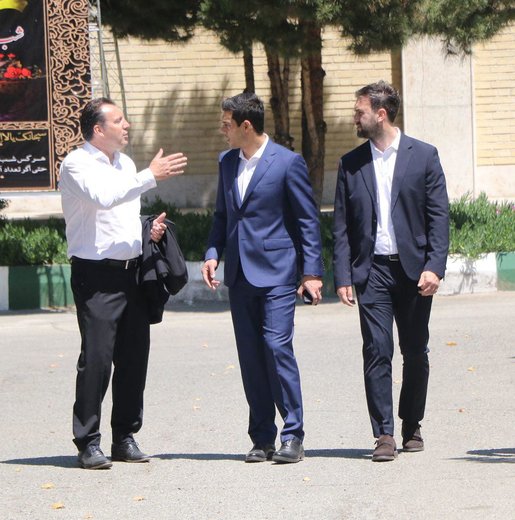 ویلموتس