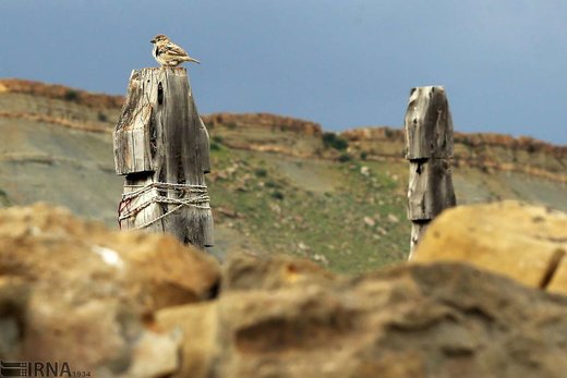 قبرستان روستای باغلق