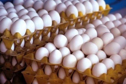 کاهش شدید قیمت تخم‌مرغ