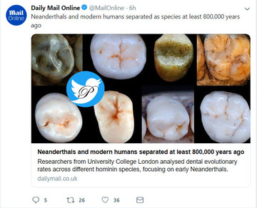 دندان انسان مدرن با انسان نئاندرتال ۸۰۰ هزار سال پیش متفاوت بوده است