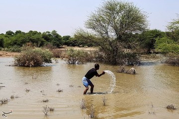تلف شدن هزاران ماهی در مناطق سیل‌زده خوزستان