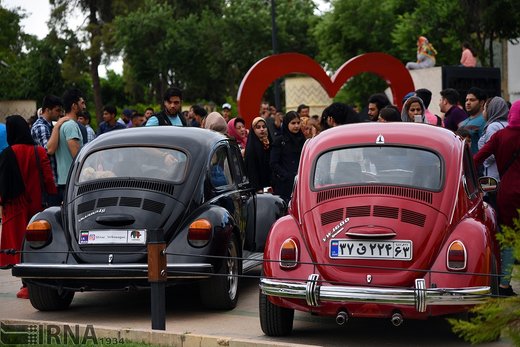 گردهمایی خودروهای کلاسیک فولکس در شیراز