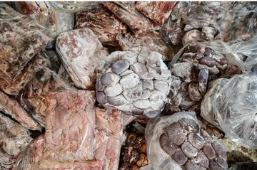 کشف ۱۵۰۰ کیلوگرم گوشت فاسد در پارکینگ یک خانه
