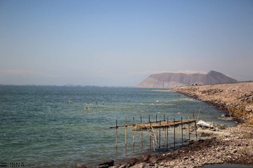 بازگشت زندگی به دریاچه ارومیه