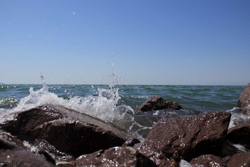 بازگشت زندگی به دریاچه ارومیه