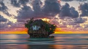 عکس | تنهایی یک رستوران در دریا در عکس روز نشنال جئوگرافیک