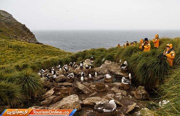 مجمع الجزایر فالکلند