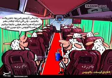 این گوسفندا به آرزوشون رسیدن!