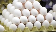 تخم مرغ به کیلویی ۵۰۰۰ تومان رسید