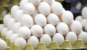 تخم مرغ به کیلویی ۵۰۰۰ تومان رسید