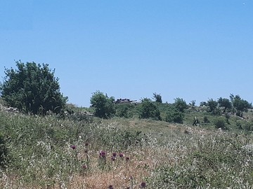 اقدام تحریک‌آمیز رژیم‌صهیونیستی و تجاوز به خاک سوریه/ ارتش سوریه در حالت آماده‌باش