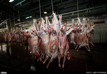 وزارت صنعت اعلام کرد: قیمت گوشت قرمز در بازار؛ ۵۰ تا ۱۲۰ هزار تومان