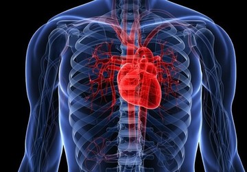 گرفتگی عروق قلب را با این معجون طبیعی برطرف کنید