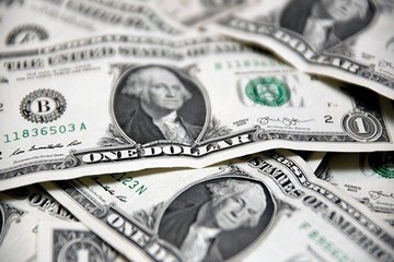 دلار چقدر گران شد؟