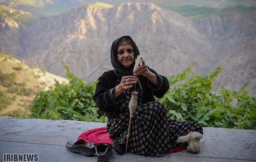 کلاش بافی در اورامانات