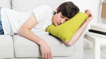 تا می‌توانید چرت بزنید/ از تقویت سیستم ایمنی تا تیز نگه داشتن ذهن