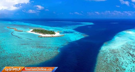 جزیره من و تو با پیله در مالدیو شبی ۳۷۲ دلار